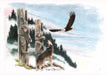 Eagle & Wolf